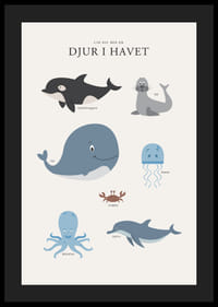 Illustrerade havsdjur i mjuka färger mot ljus bakgrund-4