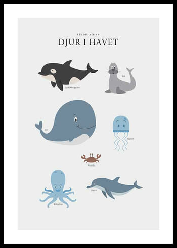 Poster Djur I Havet