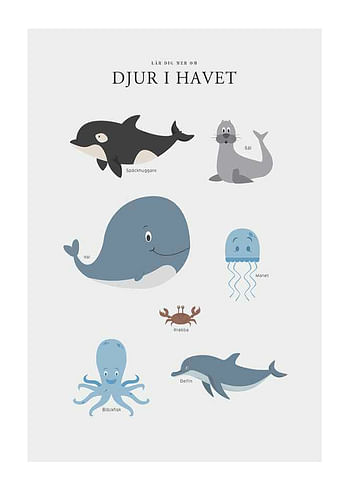 Poster Djur I Havet
