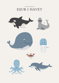 Illustrerade havsdjur i mjuka färger mot ljus bakgrund-3