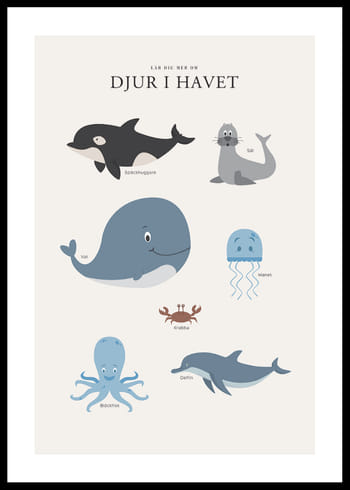 Poster Djur I Havet