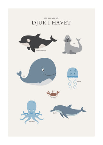Poster Djur I Havet