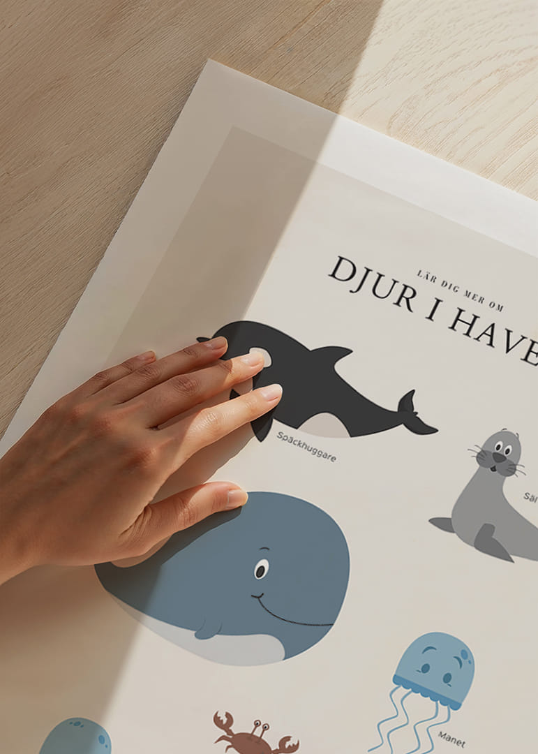 Illustrerade havsdjur i mjuka färger mot ljus bakgrund-12