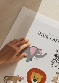 Djur I Afrika-5