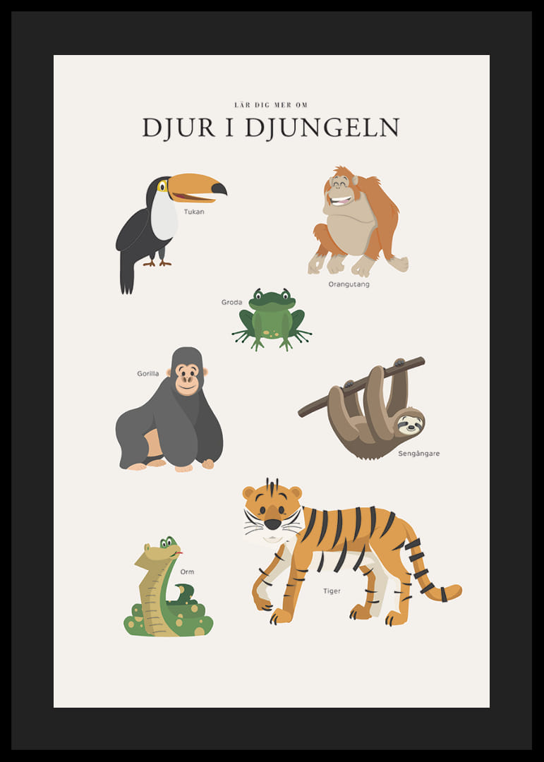 Illustrerade djungeldjur med text på ljus bakgrund-12