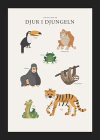 Illustrerade djungeldjur med text på ljus bakgrund-5