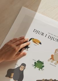 Djur I Djungeln-5