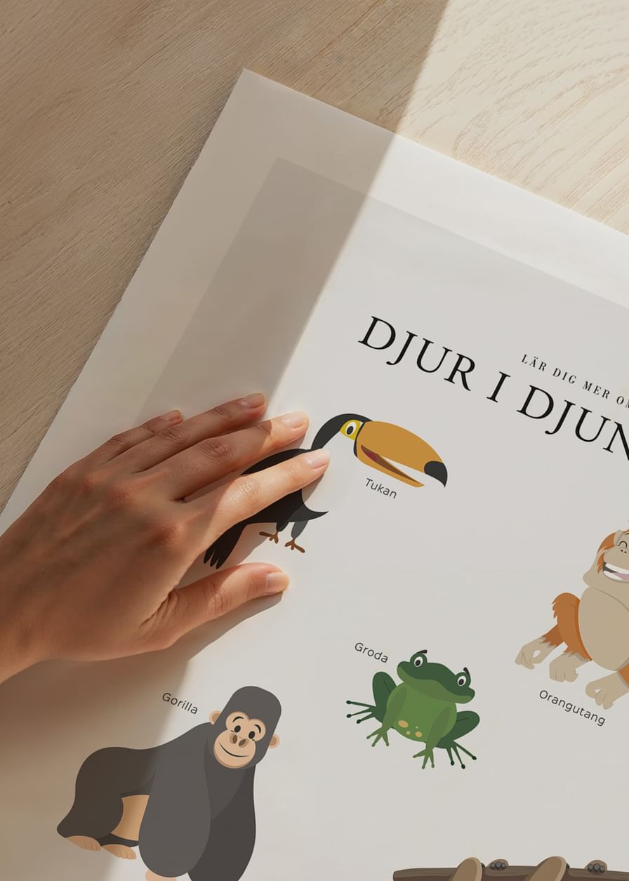 Djur I Djungeln-12