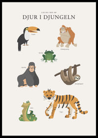 Illustrerade djungeldjur med text på ljus bakgrund-2