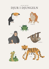Illustrerade djungeldjur med text på ljus bakgrund-3