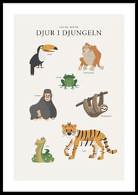 Illustrerade djungeldjur med text på ljus bakgrund-0