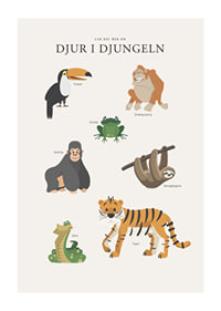 Illustrerade djungeldjur med text på ljus bakgrund-1
