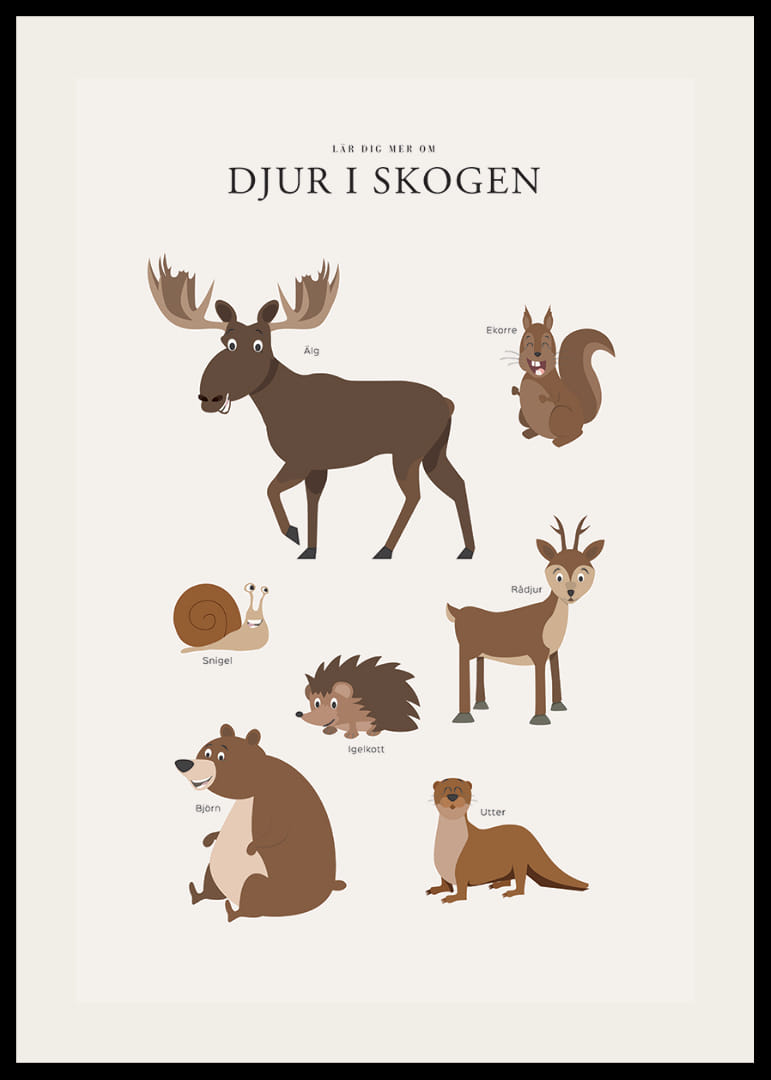 Illustration av älg, björn, ekorre och andra skogsdjur-12
