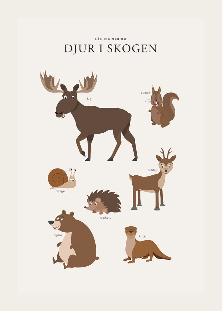 Illustration av älg, björn, ekorre och andra skogsdjur-12