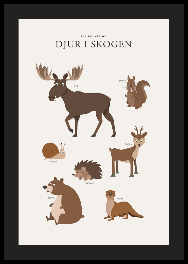 Illustration av älg, björn, ekorre och andra skogsdjur-12