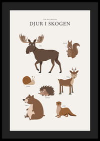 Illustration av älg, björn, ekorre och andra skogsdjur-4
