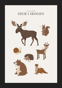 Illustration av älg, björn, ekorre och andra skogsdjur-5