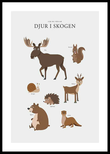Poster Djur I Skogen