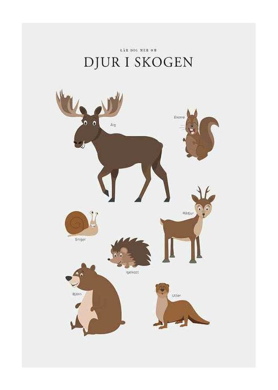 Poster Djur I Skogen