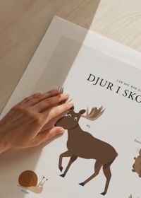 Djur I Skogen-5