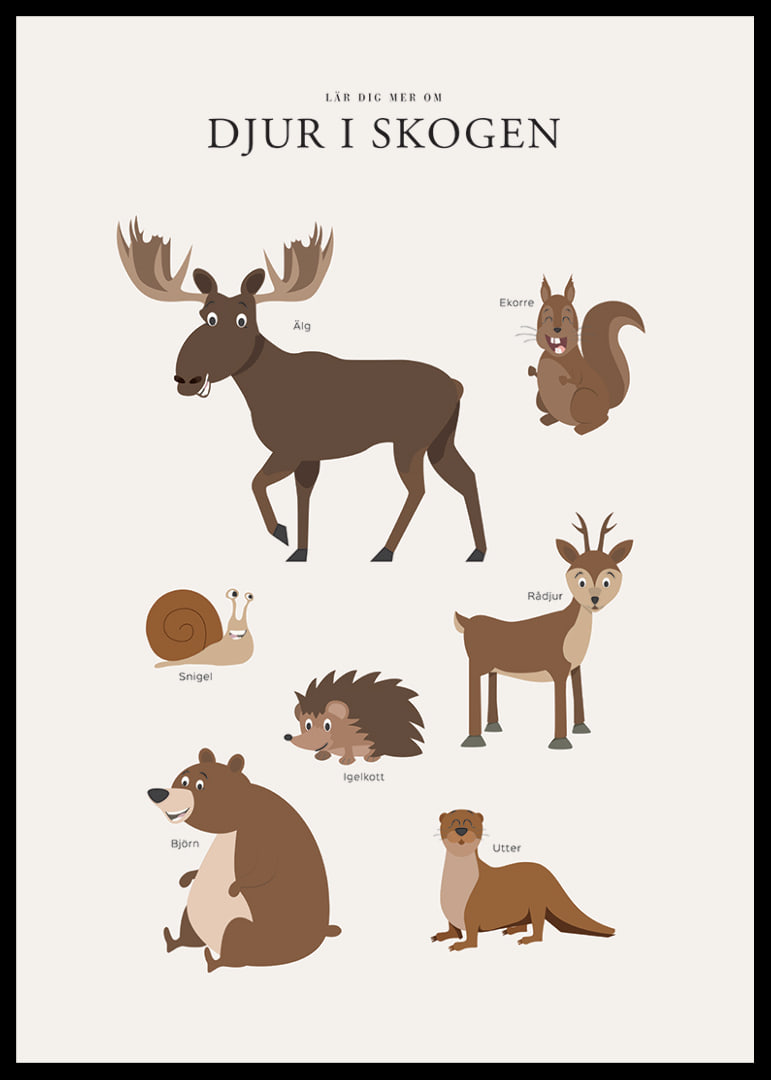 Illustration av älg, björn, ekorre och andra skogsdjur-12