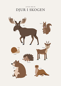 Illustration av älg, björn, ekorre och andra skogsdjur-7