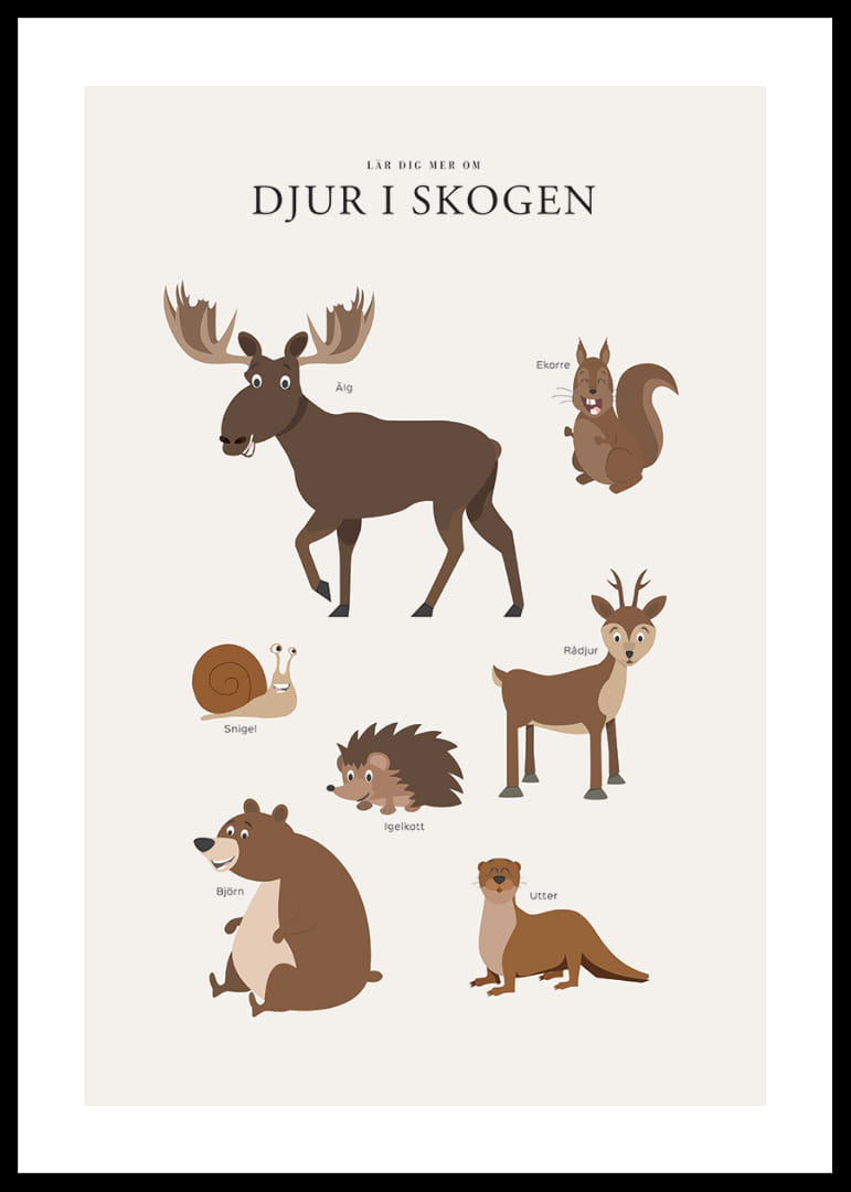 Illustration av älg, björn, ekorre och andra skogsdjur-12