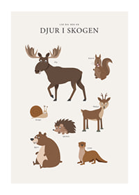 Illustration av älg, björn, ekorre och andra skogsdjur-1