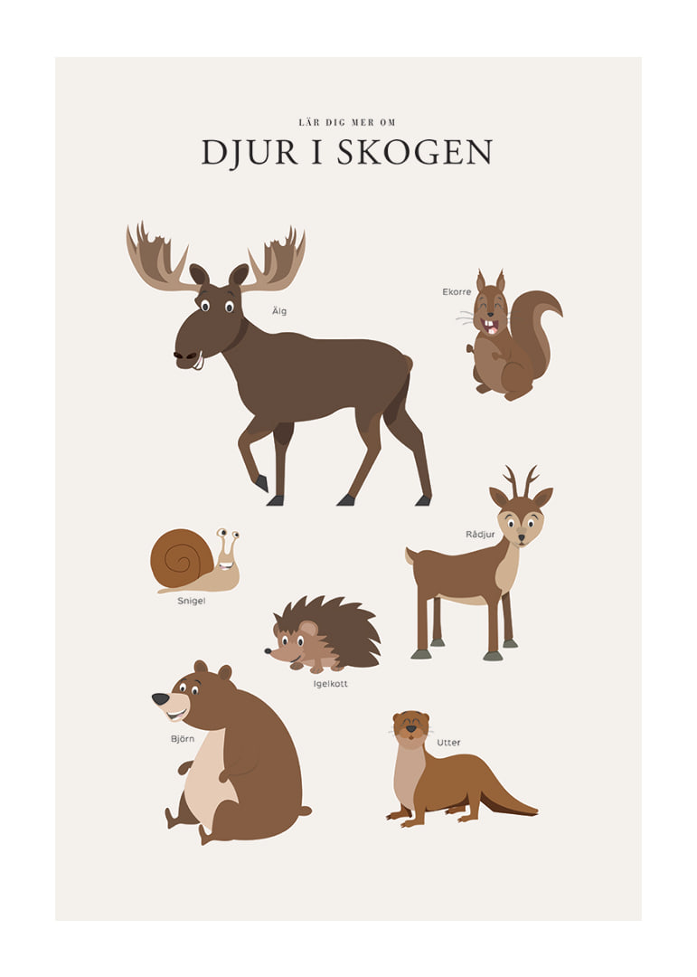 Illustration av älg, björn, ekorre och andra skogsdjur-12