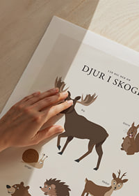 Illustration av älg, björn, ekorre och andra skogsdjur-9