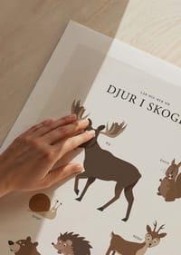 Illustration av älg, björn, ekorre och andra skogsdjur-5