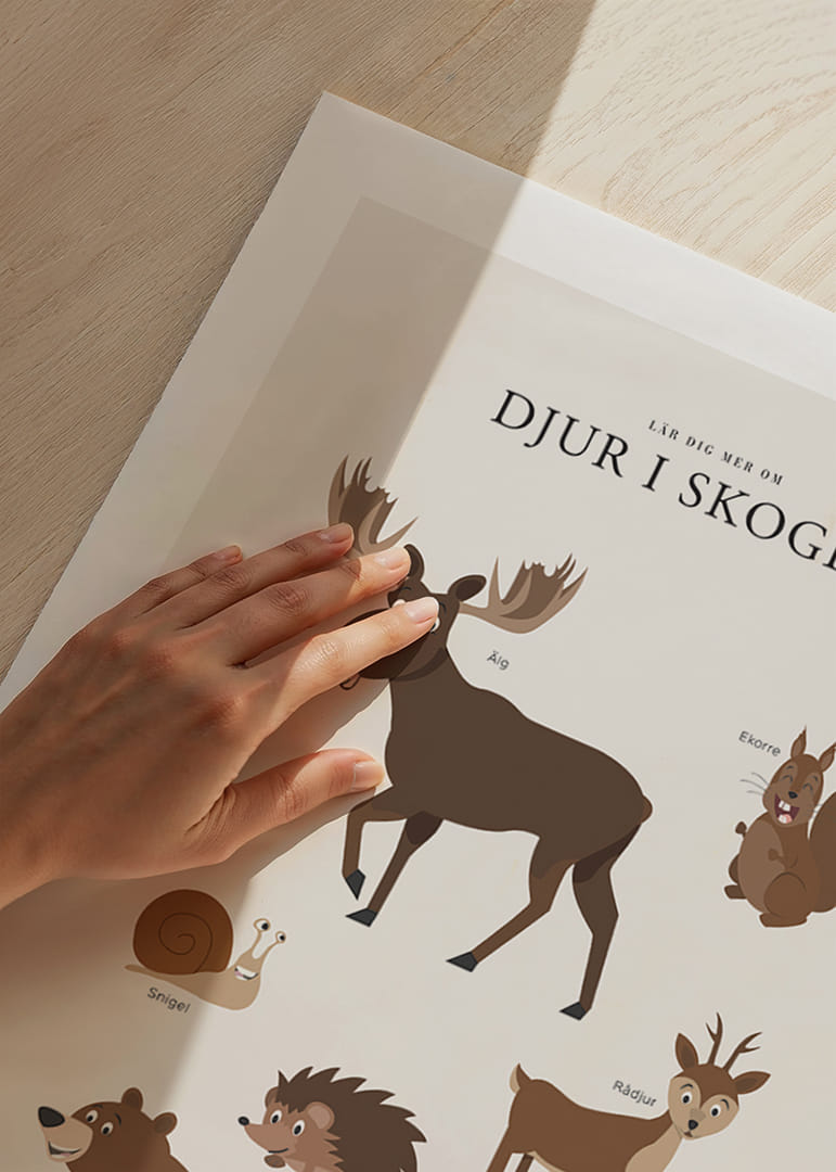 Illustration av älg, björn, ekorre och andra skogsdjur-12