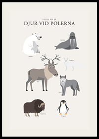 Illustrerade polar­djur på ljus bakgrund med text-2