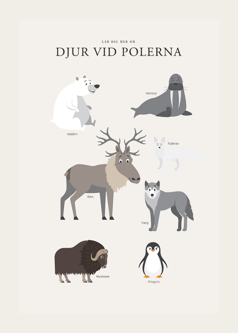 Illustrerade polar­djur på ljus bakgrund med text-12