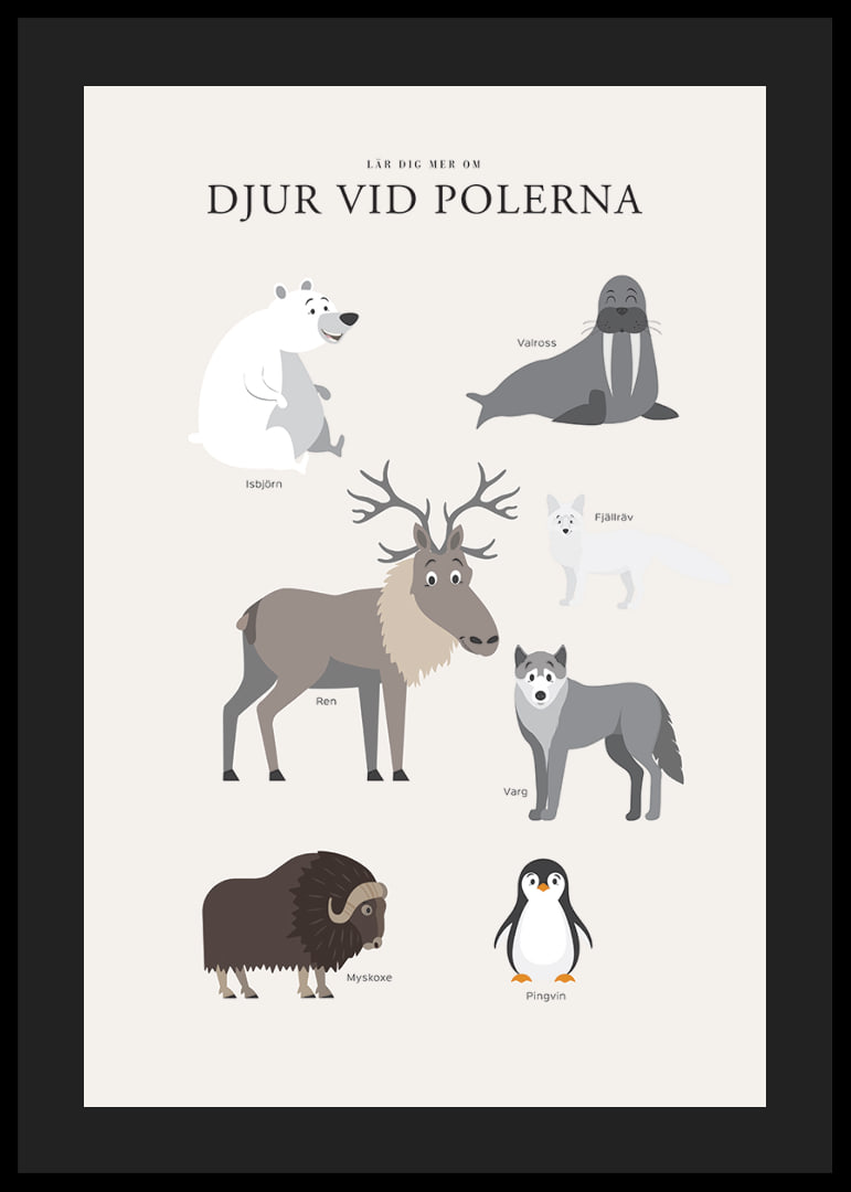 Illustrerade polar­djur på ljus bakgrund med text-12