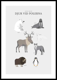 Djur Vid Polerna-0