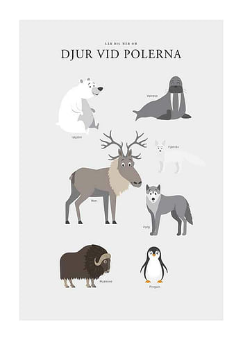 Poster Djur Vid Polerna