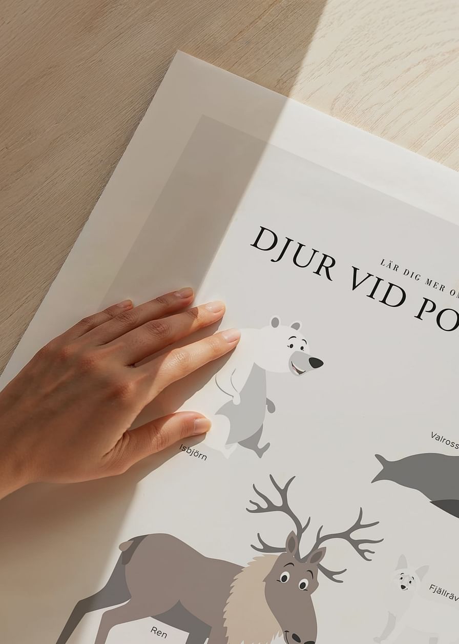 Djur Vid Polerna-12