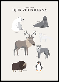 Illustrerade polar­djur på ljus bakgrund med text-6