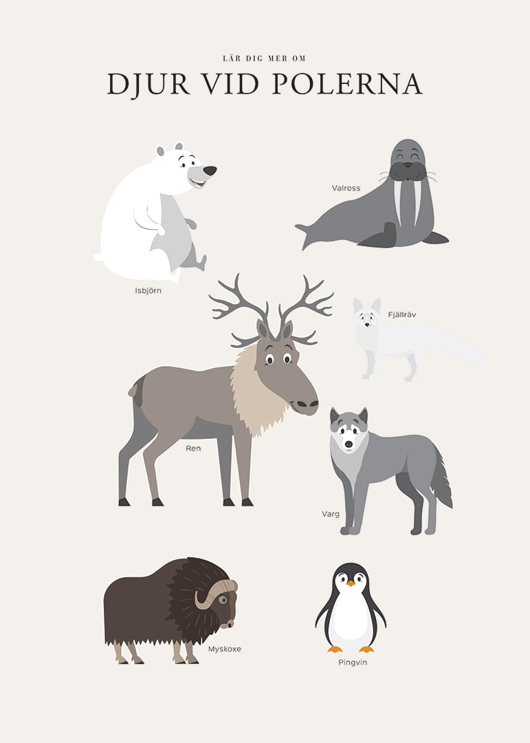 Illustrerade polar­djur på ljus bakgrund med text-12