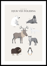 Illustrerade polar­djur på ljus bakgrund med text-0