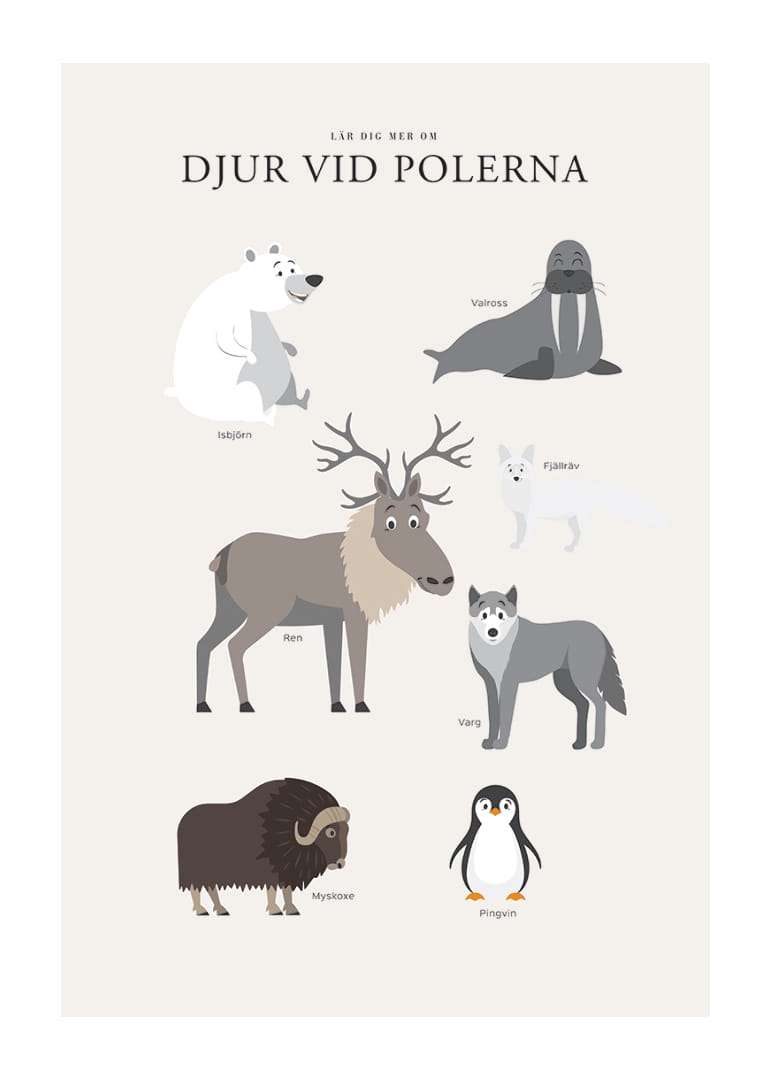 Illustrerade polar­djur på ljus bakgrund med text-12