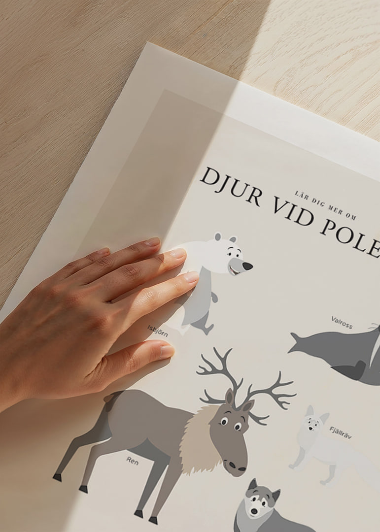Illustrerade polar­djur på ljus bakgrund med text-12