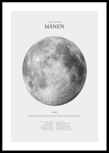 Poster Månen