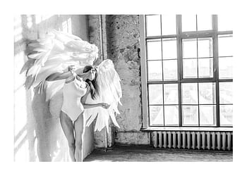Poster White Wings No2