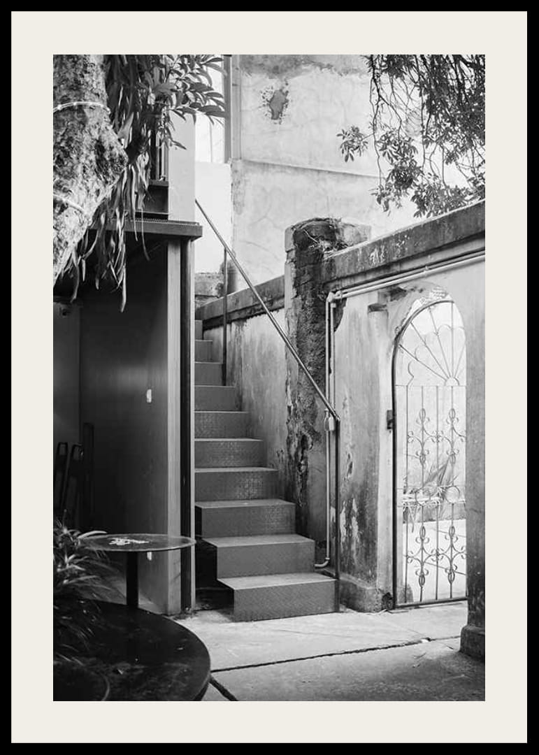 Black and white photograph of stairs in a lush courtyard setting-12