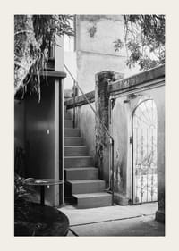 Black and white photograph of stairs in a lush courtyard setting-3