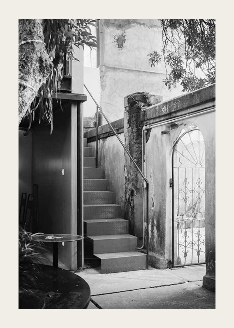 Black and white photograph of stairs in a lush courtyard setting-12