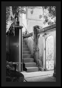 Black and white photograph of stairs in a lush courtyard setting-4