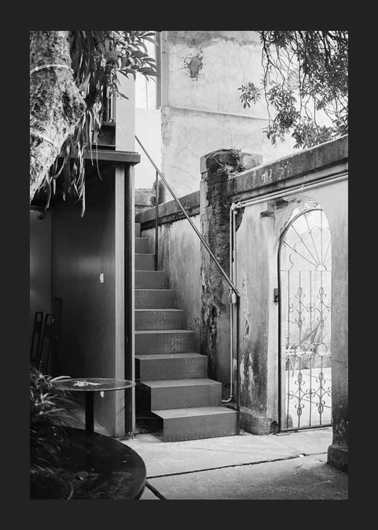 Black and white photograph of stairs in a lush courtyard setting-12